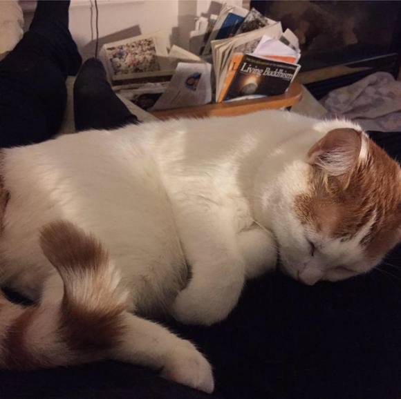 Meet your Posher, Ann - Picture 1 of 1